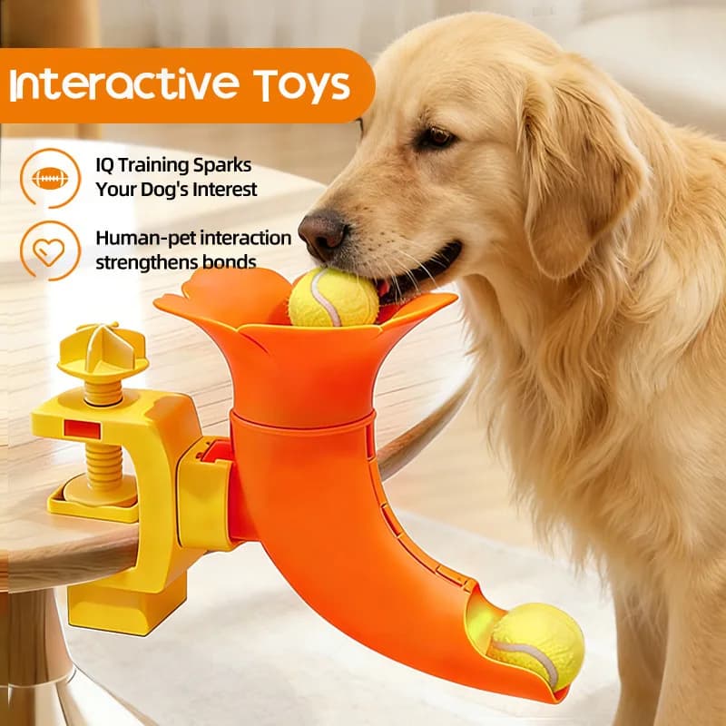 Pet Automatic Ball Launcher Interactive Feeder Tennis Ball Launch Toy for Dog and Cat Daily Play Training Toys Puppy Accessories