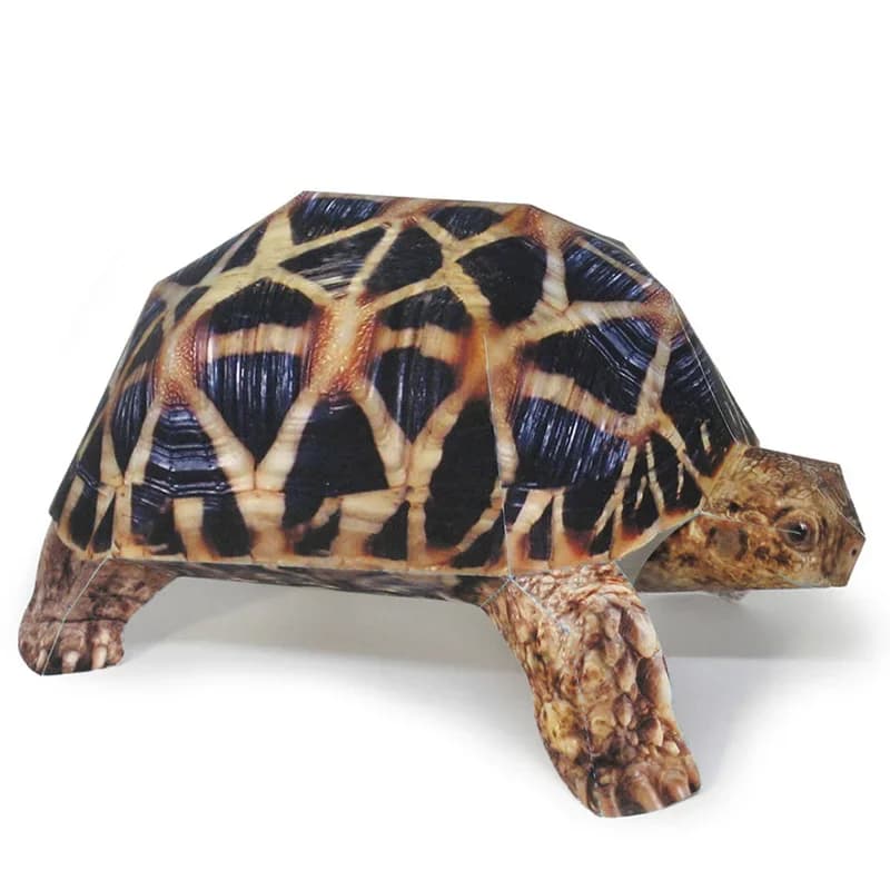 Indian Star Tortoise Paper Model Realistic Animal Mini Origami Art Cute 3D Papercraft DIY Kids Adult Handmade Craft Toys WE-053