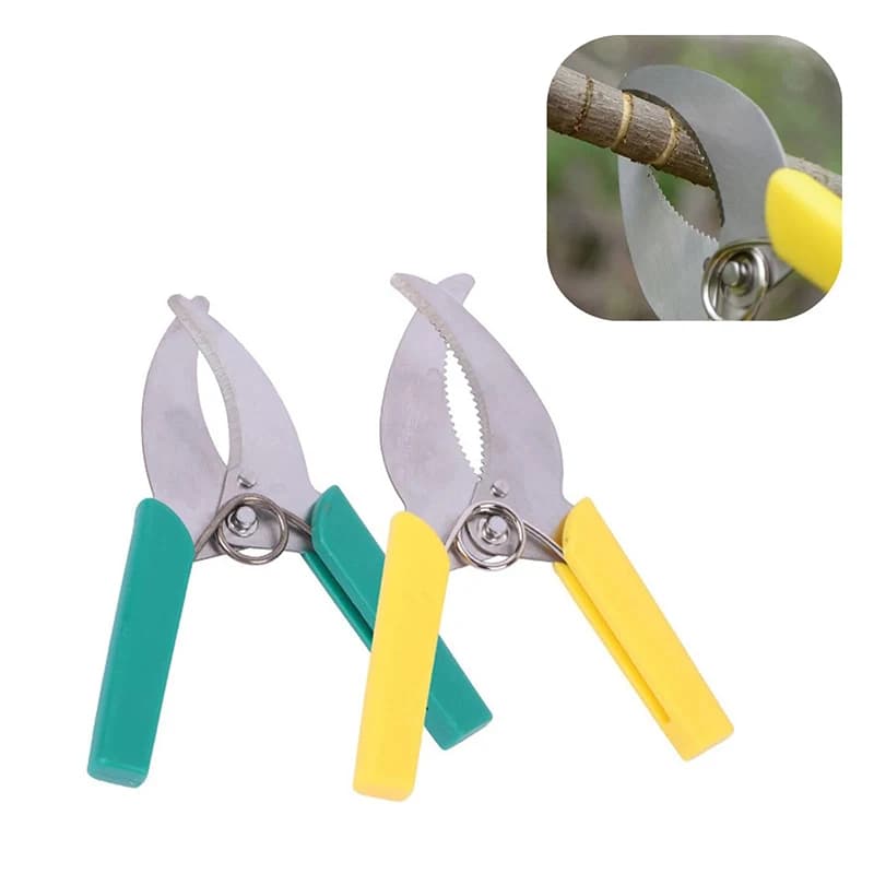 Professional scissors for grafting and pruning, sharp knives for grinding and cutting, plant shears, pruning tool