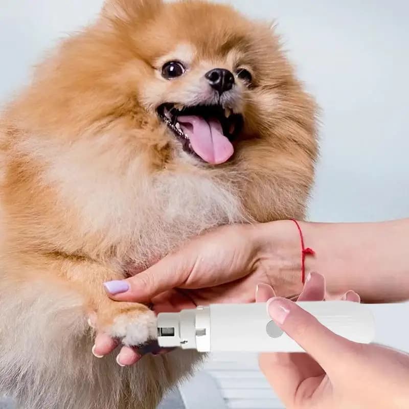 Smerigliatrice per unghie per cani ricaricabile Tagliaunghie elettrico per animali domestici con luce a LED Smerigliatrice per unghie professionale Strumento per toelettatura liscia per cani e gatti