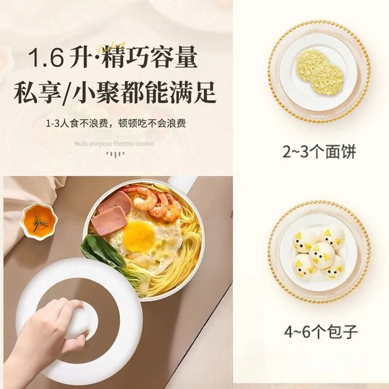1.6 litre electric pan with steamer, frying pan, electric wok