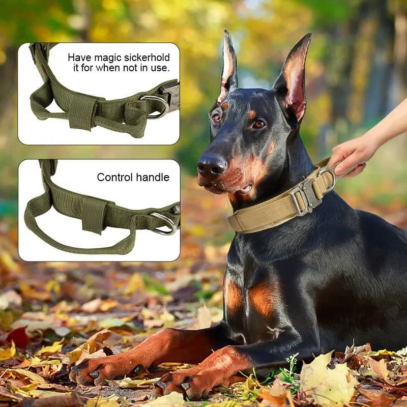 Collare per cani tattico in nylon per razze medie e grandi Collana per animali da addestramento per carichi pesanti con imbracatura regolabile in stile militare con anello a D