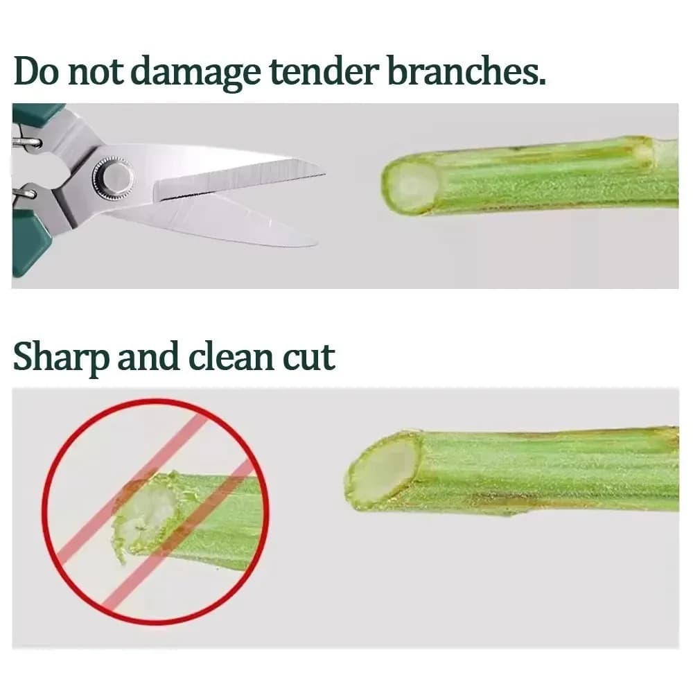 1/2PCS Straight Head Pruning Shears Non-slip HandleStainless Steel Outils Manuels Household Bonsai Garden Scissors Pruing Shear2