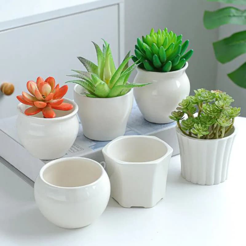 6 pcs/set flower pot white porcelain vase for fleshy plants set home garden different bonsai vase breathable container flowerpot