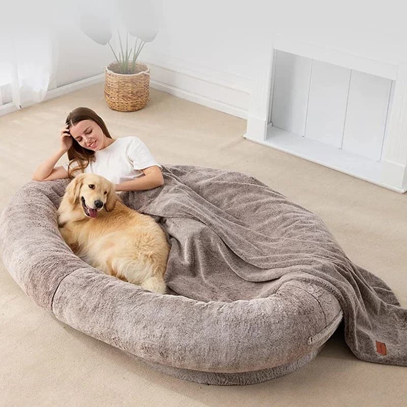 Cuccia moderna morbida letto a sacco per cani adulti nordico comodo salotto pigro divano soffio pavimento dormiente grande pouf Geant mobili per la casa