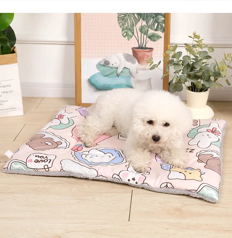2025 New Double-sided Dual-purpose Hairy Four-season Dog Mat Cat Sleeping Mat, Suitable For Winter