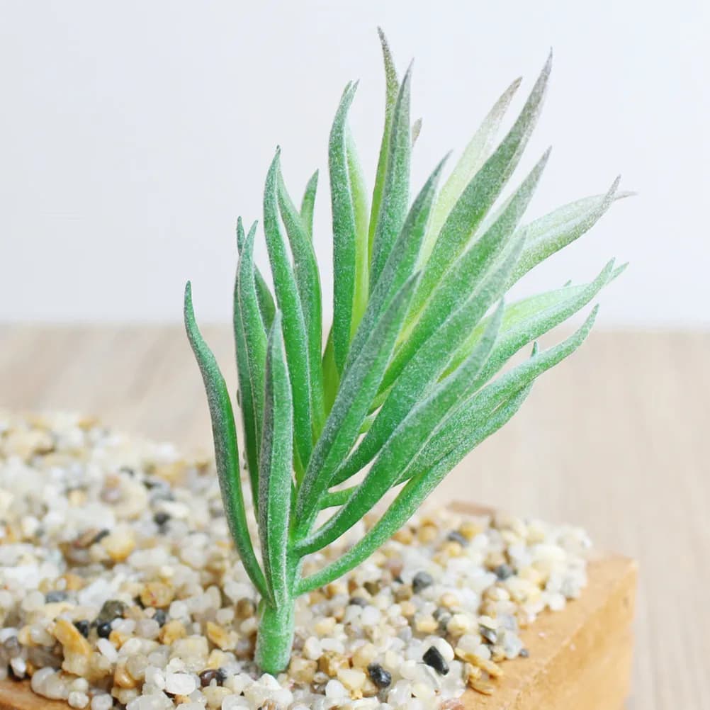 Set of 7 Premium Artificial Succulent Plants, Natural Green Vivace Decoration and Case for Desk, Shelf, Bench, Bedroom