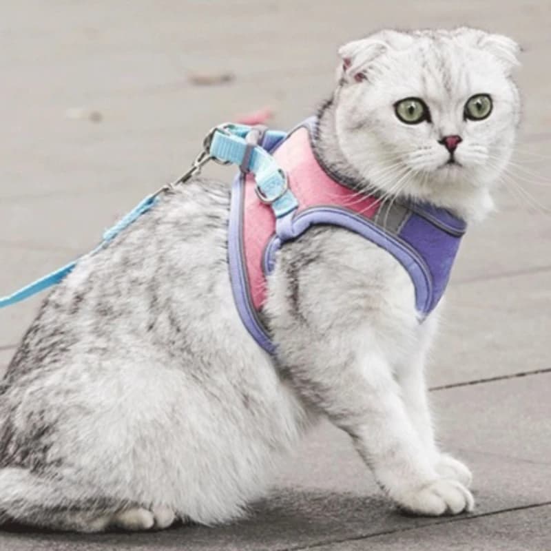 Imbracatura e Guinzaglio per Gatti e Cani, Attrezzatura Tattica per Esterni Impermeabile e Antiesplosione, Multifunzione e Resistente per Escursionismo e Addestramento