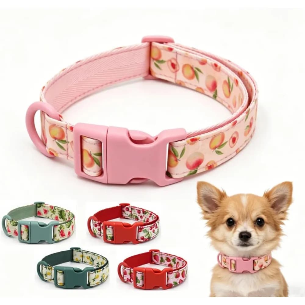 Collare Personalizzato per Cani Maschi e Femmine con Motivo a Frutta, Collari Incisi con Nome, Collare Personalizzato per Cuccioli e Gattini