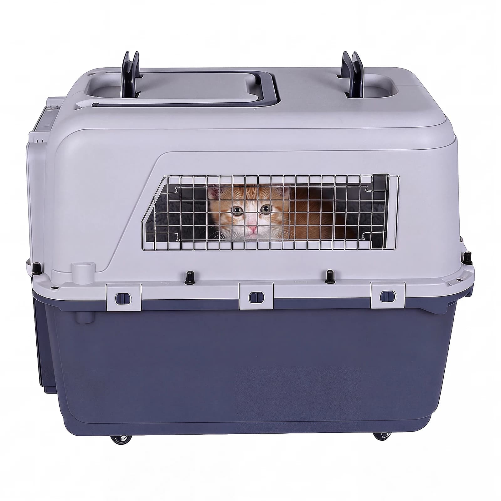 Trasportino per Animali Domestici Lunghezza 84cm/Larghezza 55cm/Altezza 64cm con Maniglia e Porta in Metallo, Box Portatile per Cuccioli e Gattini