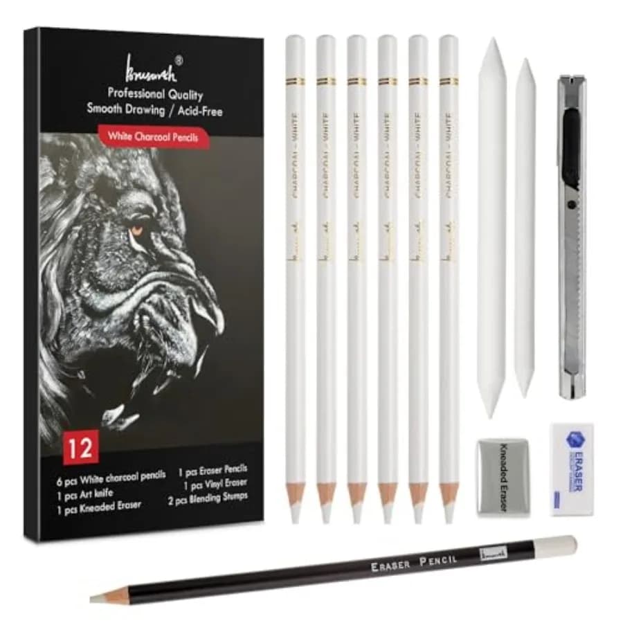 Charcoal Pencils Set - 12 Pcs Sketch Highlight Pencils Set for Drawing, Sketching, Shading, Blending, Artist Pencils for Artist