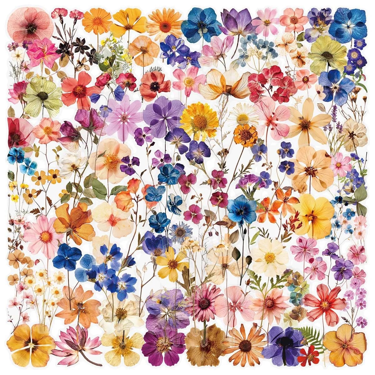 50/100 Pezzi Adesivi Trasparenti Retrò con Fiori Secchi, Decorazioni Estetiche per Quaderni, Chitarre, Laptop, Graffiti Fai-da-Te