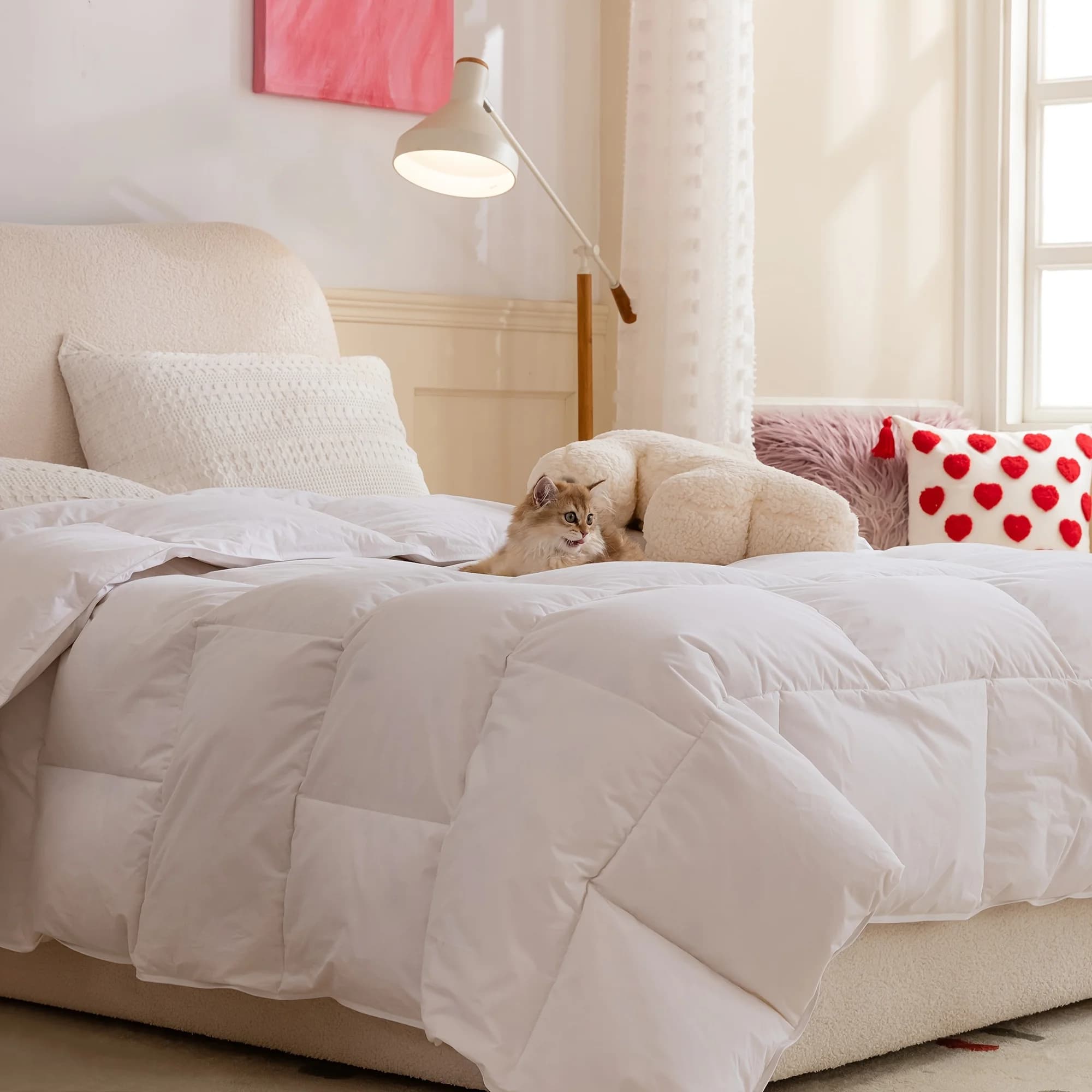All-Season Soft Cotton Covered Down Comforter with White Goose Feathers, Medium Warmth, Cozy Duvet Insert Featuring 8 Corner Tabs