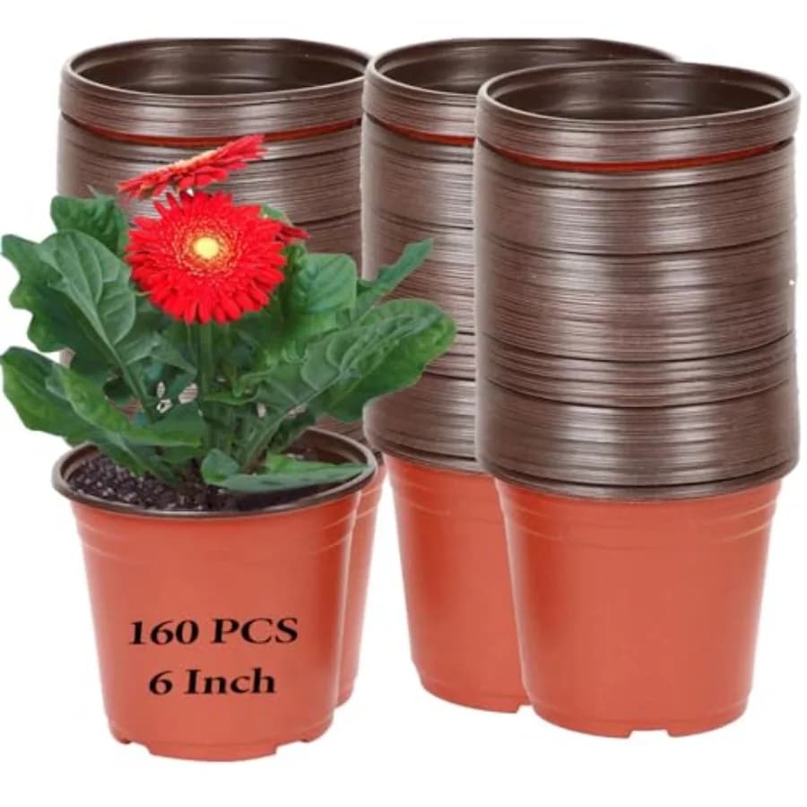 1/2 Gallon Plastic Vivary Flowers Container, Seed Seed Container for Exterior Transport, Garden, Courtyard