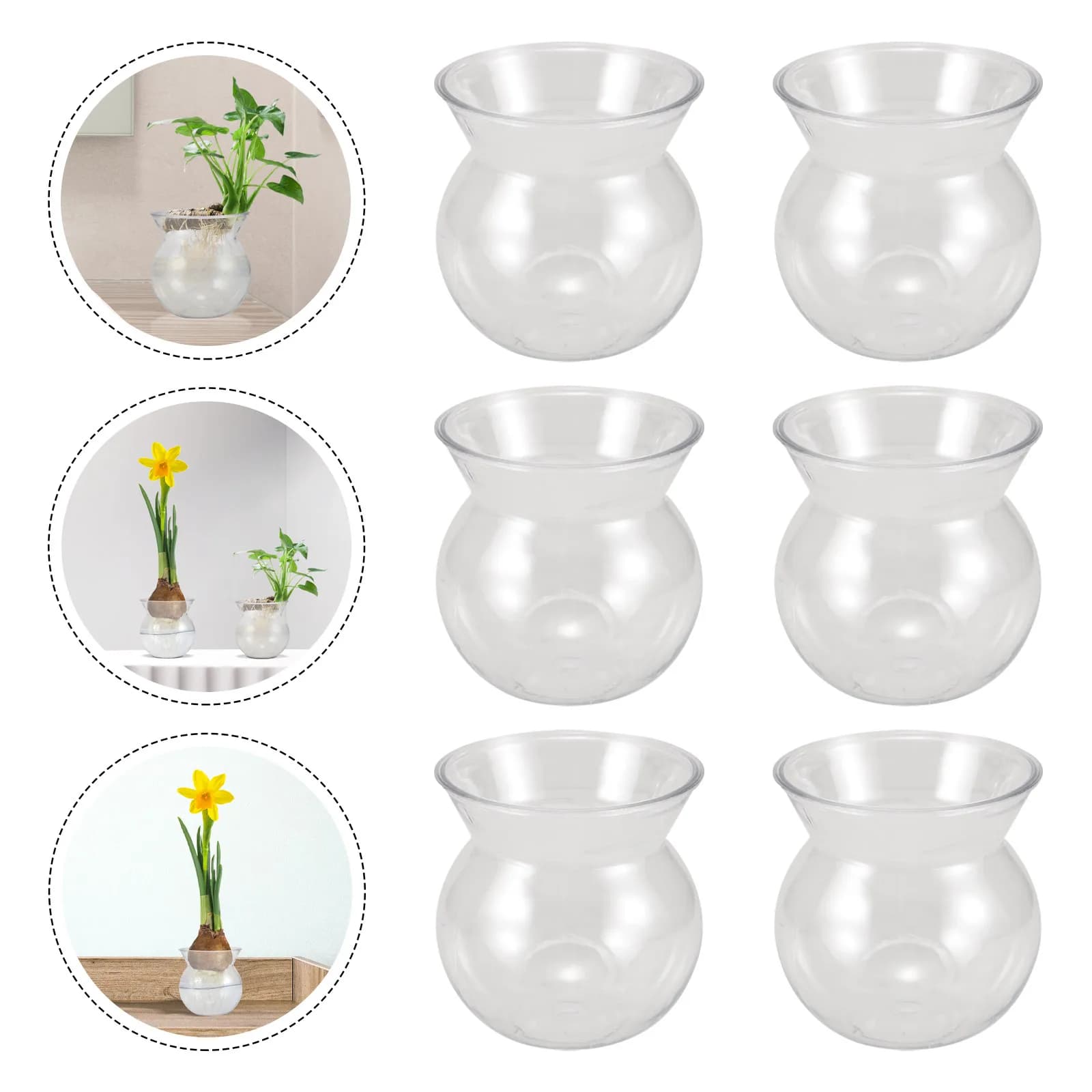 Set di 6 Mini Vasi Trasparenti per Fiori, Kit di Coltivazione Indoor Adatto ai Bambini, Fioriera da Scrivania Trasparente per Germinazione Semi e Piccole Piante