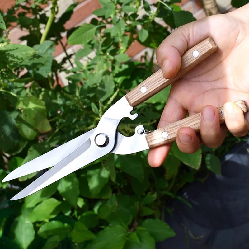 Stainless Steel Garden Scissors Flower Plant Professional pruning shears Bonsai Arrangements Flower scissors Garden Tools
