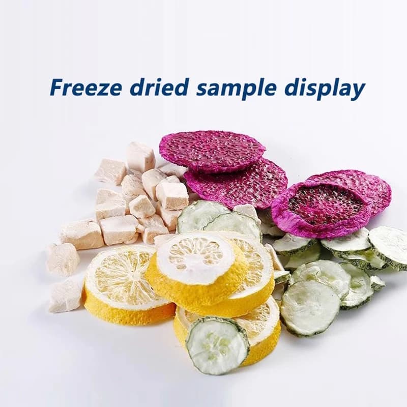 4-6 kg/lotto Macchine secche per liofilizzazione di frutta sottovuoto per caramelle Mini verdure Lyophilizzatore Alimenti Freezer Asciugatrice 5 strati