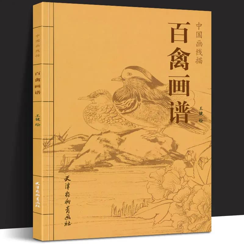 Bird Drawing Tutorial Book Chinese Line Drawing Art Book 100 Bird Sketches Poses Gongbi Style Copy Study Guide Beginner