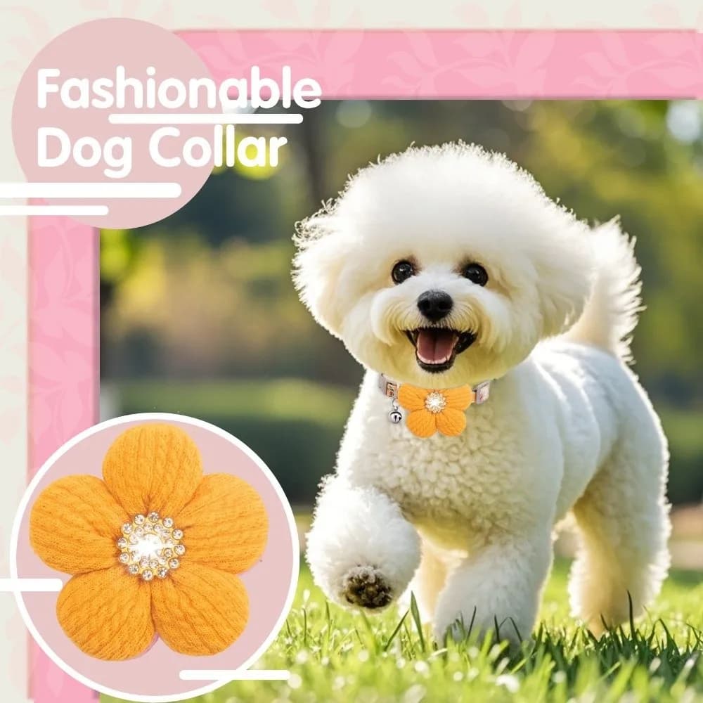 Collare per cani con fiore 3D regolabile alla moda Collare per cuccioli a sgancio rapido con strass con campana Collare in nylon brillante per animali domestici Regalo per animali domestici