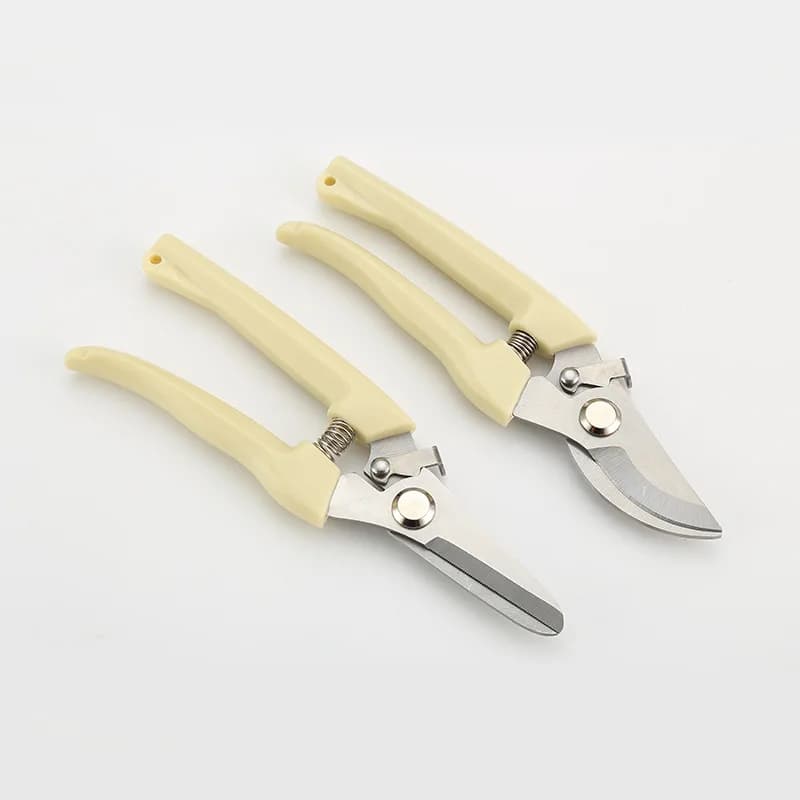 For pruning and shears in stainless steel garden tree fruit branch of flowers grafting horticulture LL