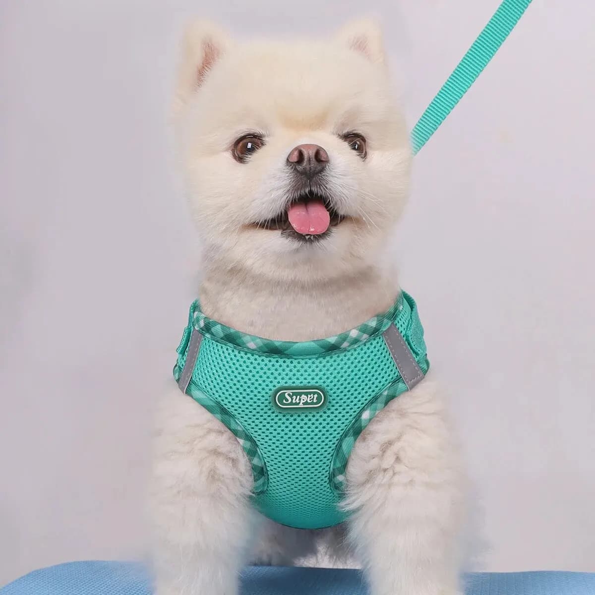 Supet 1pc Imbracatura per cani, anti-trazione, regolabile, facile da controllare, adatta per cani di taglia piccola e media
