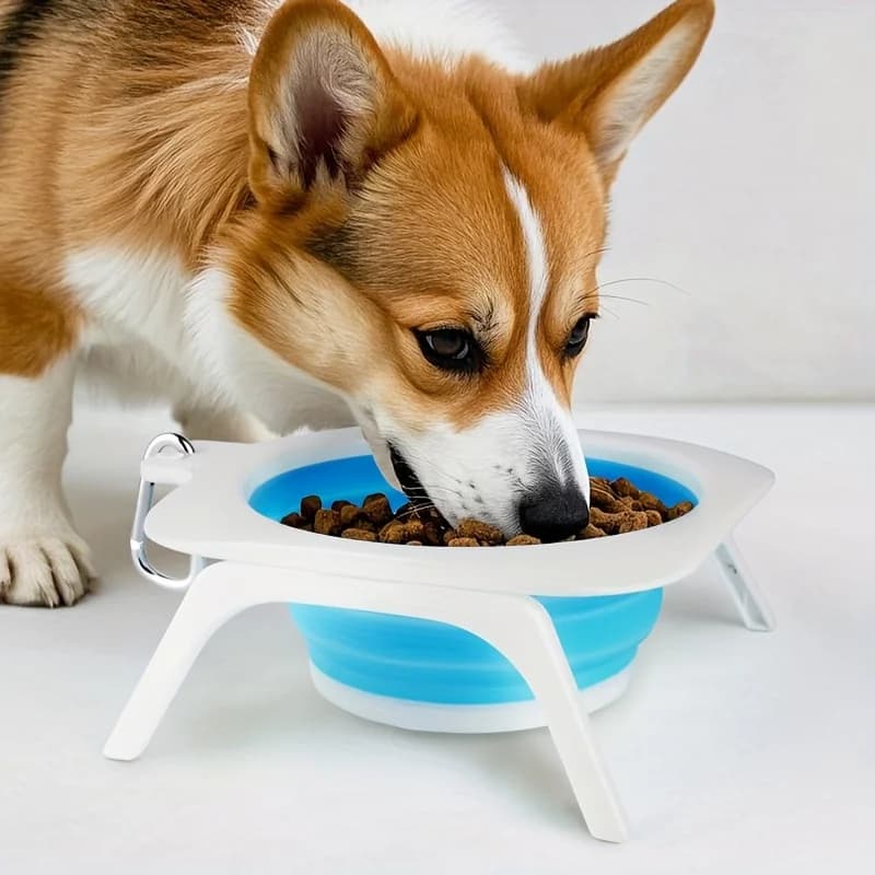 1Pc Pet Dog Folding Bowl Dog Basin Portable Dog Bowl Food Basin Outdoor Drinking Bowl Anti-Tip
