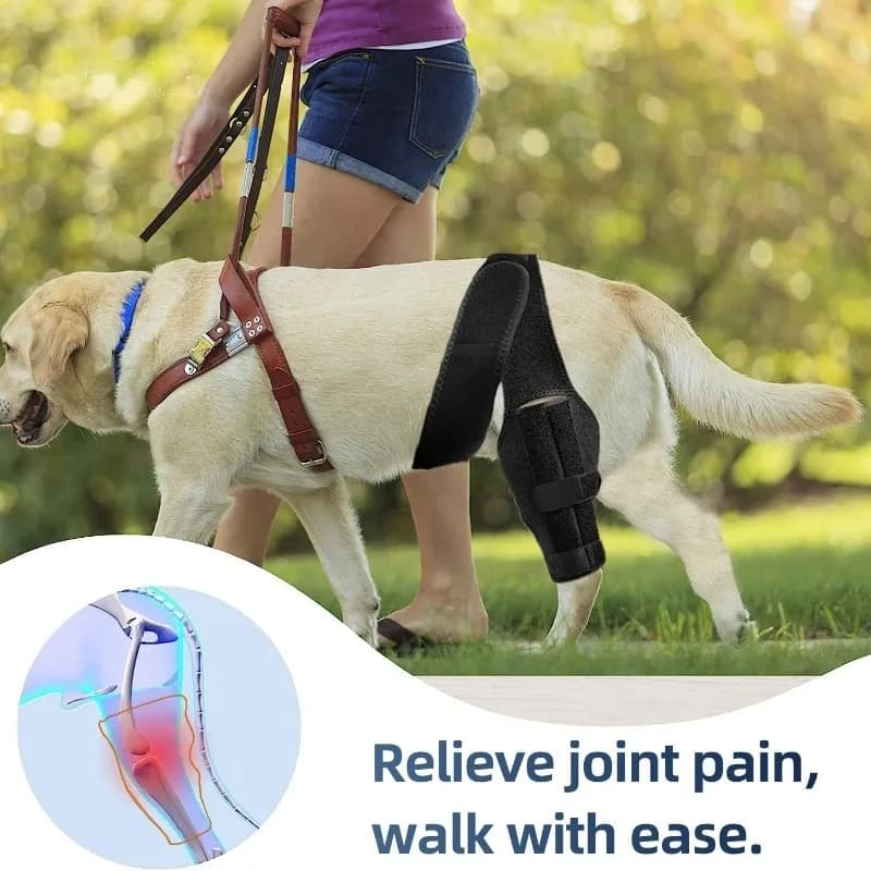 ‌ PetDogDog Tutore per le gambe Supporto per il ginocchio Aiuto per il recupero Morbido involucro protettivo Cura delle infortuni Comodo e traspirante Dimensioni regolabili