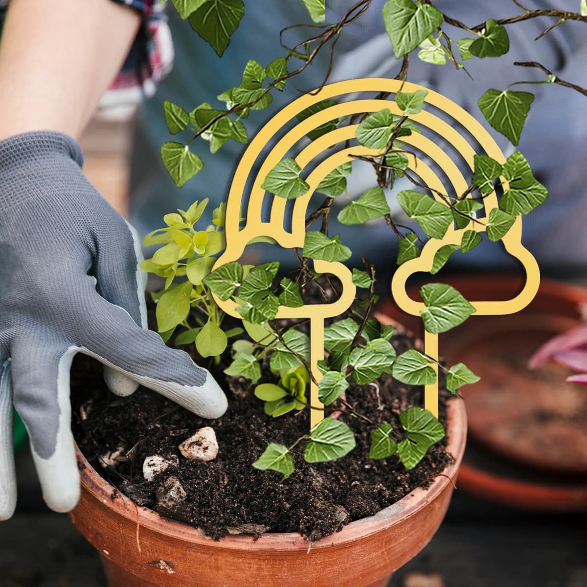 Traliccio in Metallo per Piante e Fiori, Arcobaleno, Perfetto come Regalo per la Festa della Mamma, Robusto, Regalo per il Ringraziamento, Facile da Montare, Oro/Nero