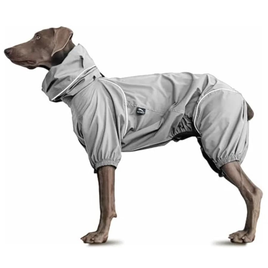 Giacca Antivento Leggera per Cani, Giacca Sportiva da Esterno per Animali Domestici 0,5 libbre, 3 in 1 con Cappuccio, Facile da Indossare/Togliere, con Collare e Pettorina, Riflettente