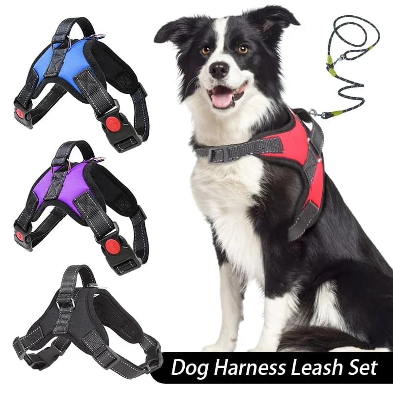 Set of bib and leash for dogs, without pulling, adjustable, comfortable, with easy control handle, for outdoor running, walks, free hand leash