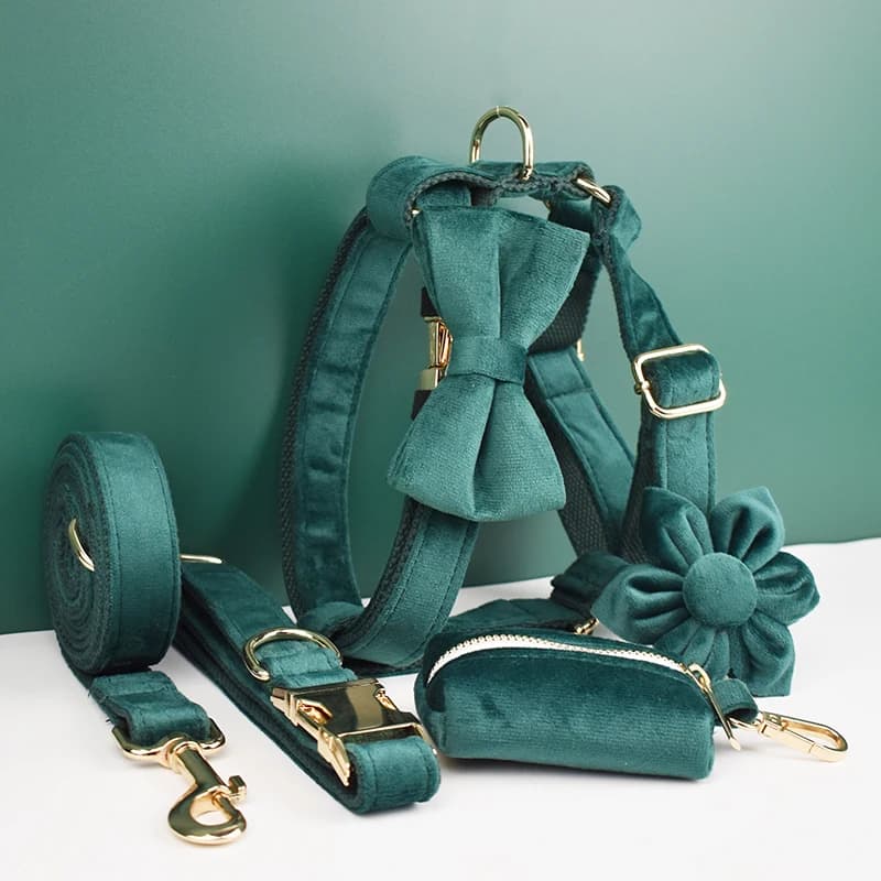 Set di collare e guinzaglio per cani in velluto verde, con targhetta incisa personalizzata, accessori per animali domestici, guinzaglio per cani velvet43