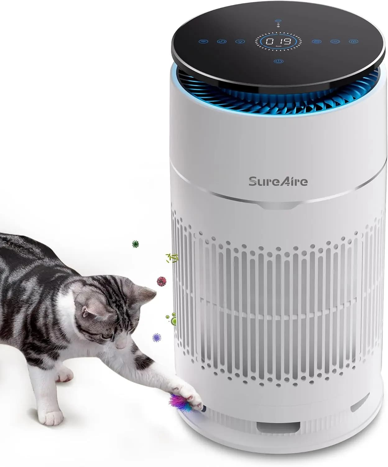 Purificatore d'aria da tavolo con filtro HEPA, attrezzo per stimolare il gatto e pre-filtro per peli e odori di animali domestici