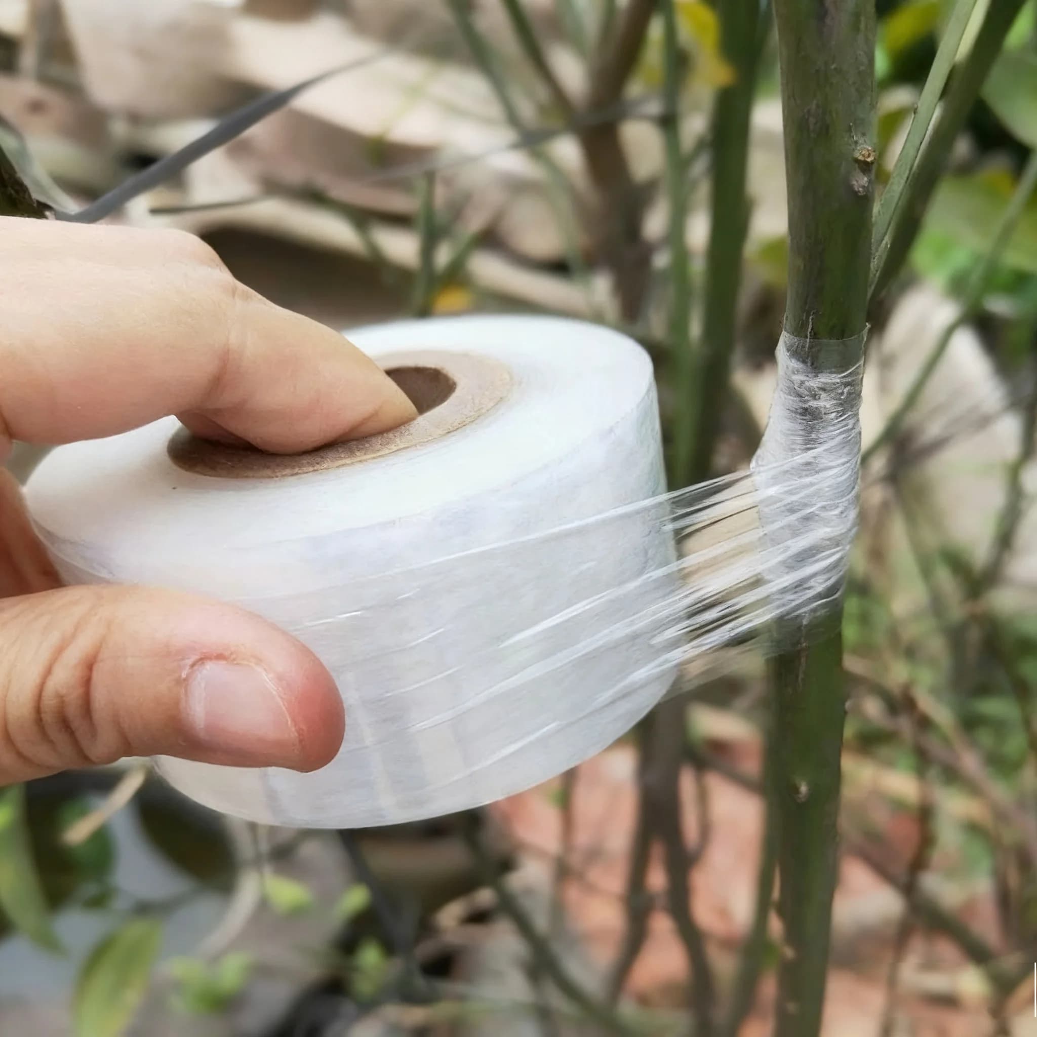 200M PE Grafting Tape Film Self-adhesive for Fruit Tree Nursery Plants Seedlings Vine Floristry Tomato Grafting Supplies Stretch