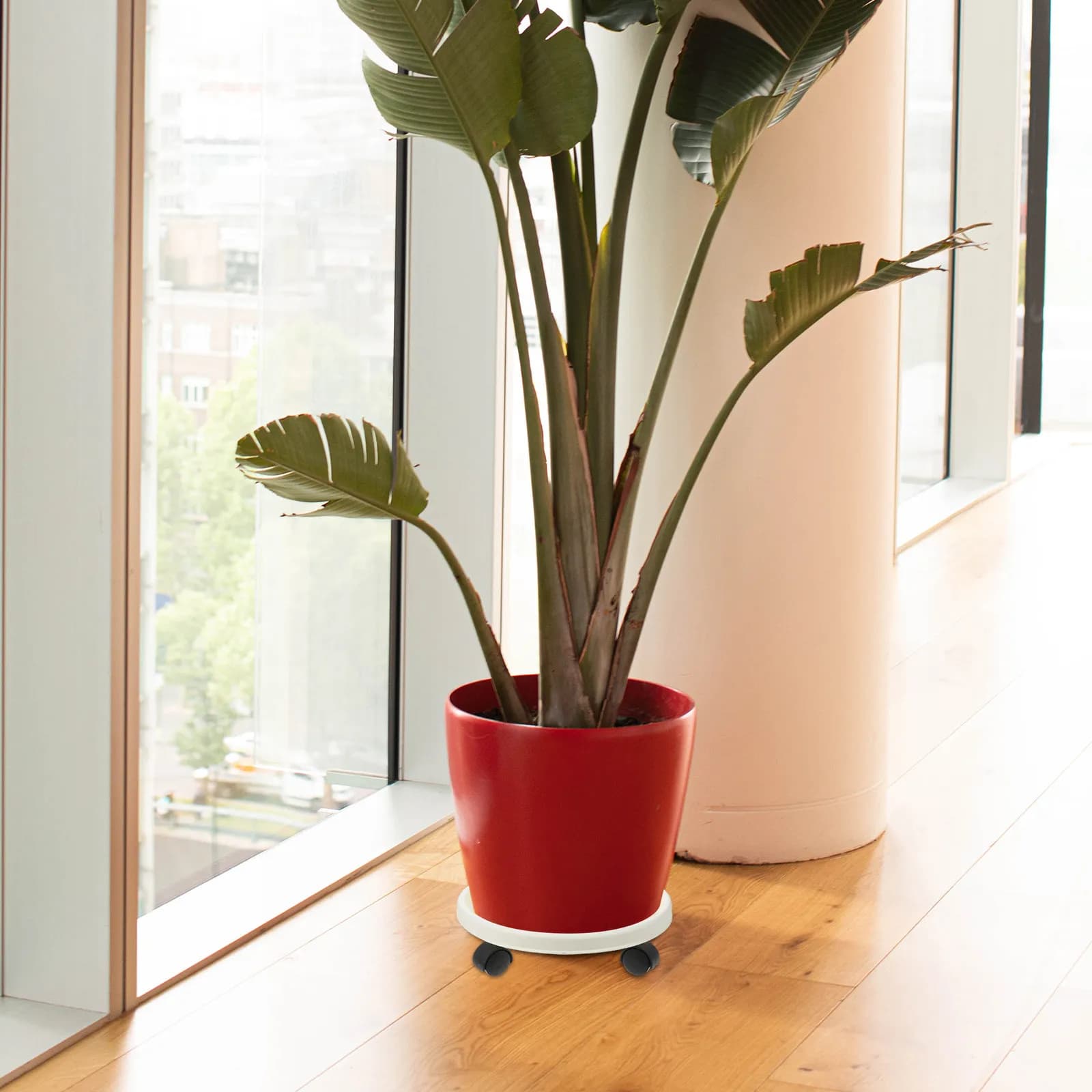 Mobile pot base with 360 degree wheels, durable resin support for large plants, bonsai and accessories for containers.