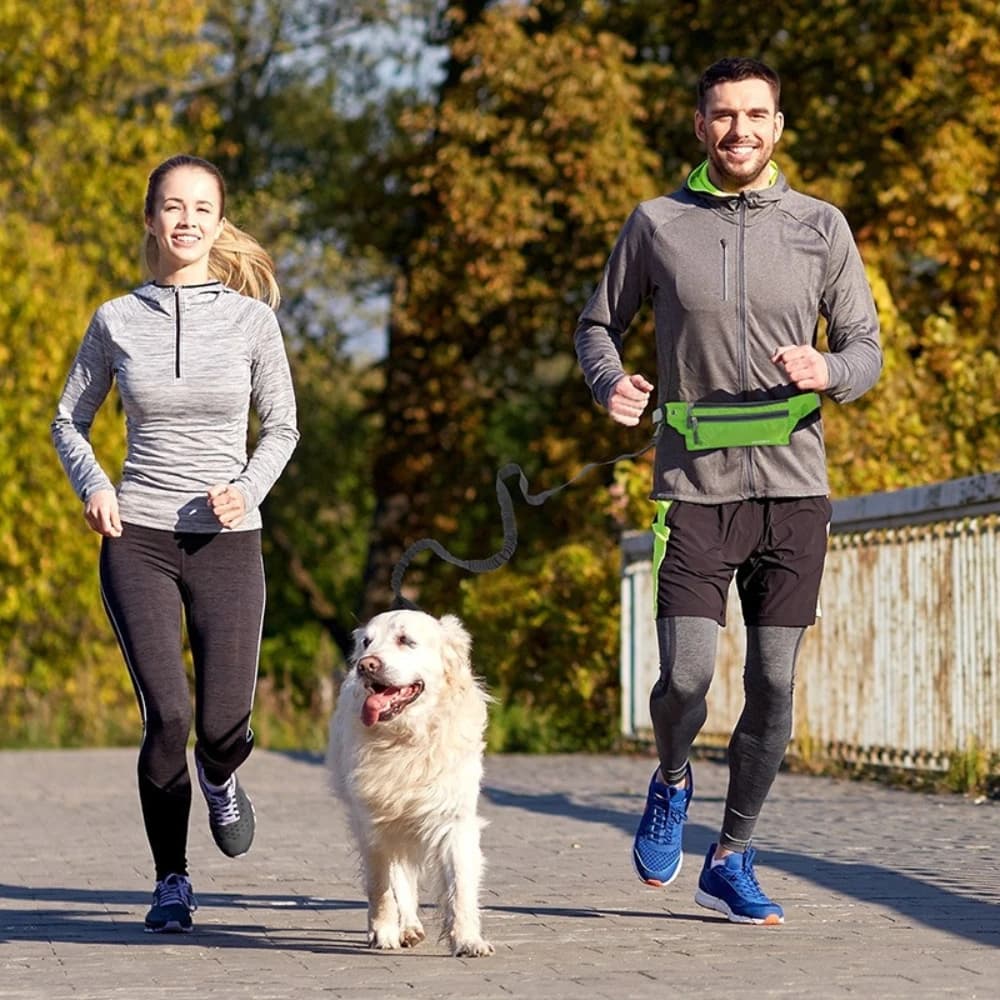 Guinzaglio da Corsa per Cani con Marsupio, Corda Elastica Retrattile in Nylon con Fibbia Riflettente per Passeggiate all'Aperto