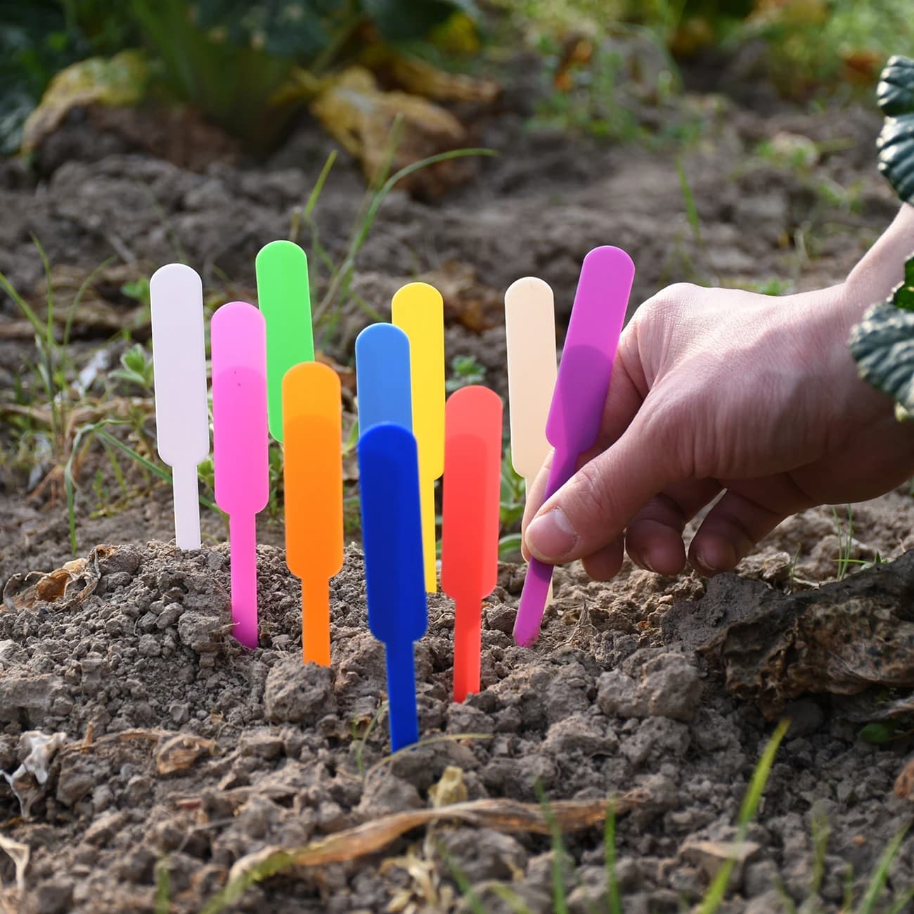 50 pezzi etichette per piante in plastica impermeabili etichette pennarelli per vivaio vasi da fiori da giardino piantina scrittura segno strumenti di decorazione del giardino fai da te