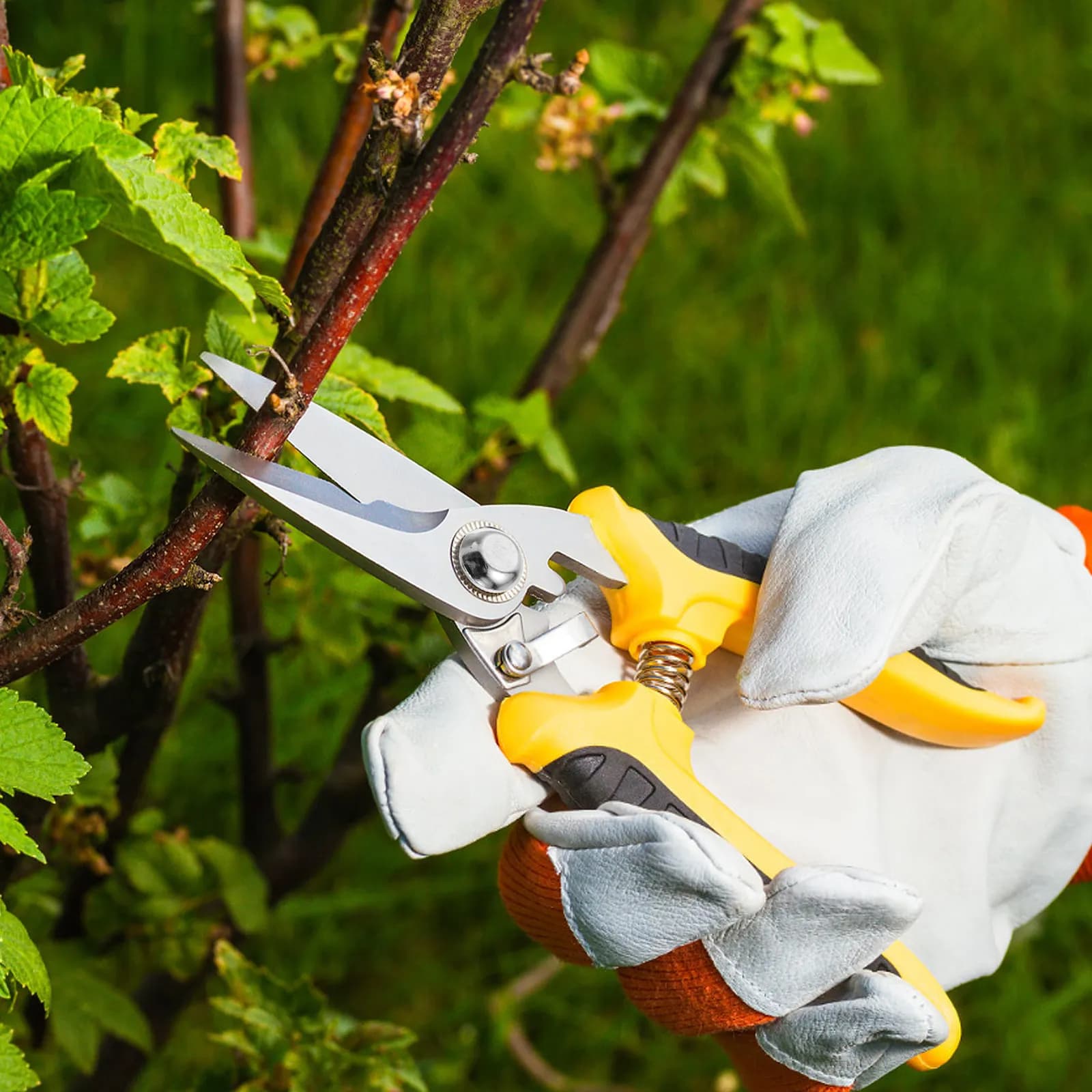Kit di 30 Pezzi di Ricambio per Forbici da Potatura, Viti in Acciaio Inox Regolabili per Riparazione Attrezzi da Giardinaggio