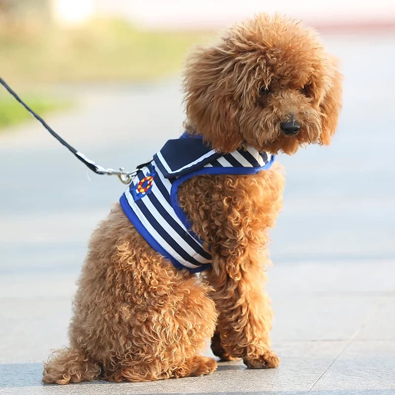 Vestiti per cani da compagnia Set di guinzagli morbidi e traspiranti in stile Navy per cani di piccola taglia collare per cuccioli di Chihuahua guinzaglio per cani da compagnia