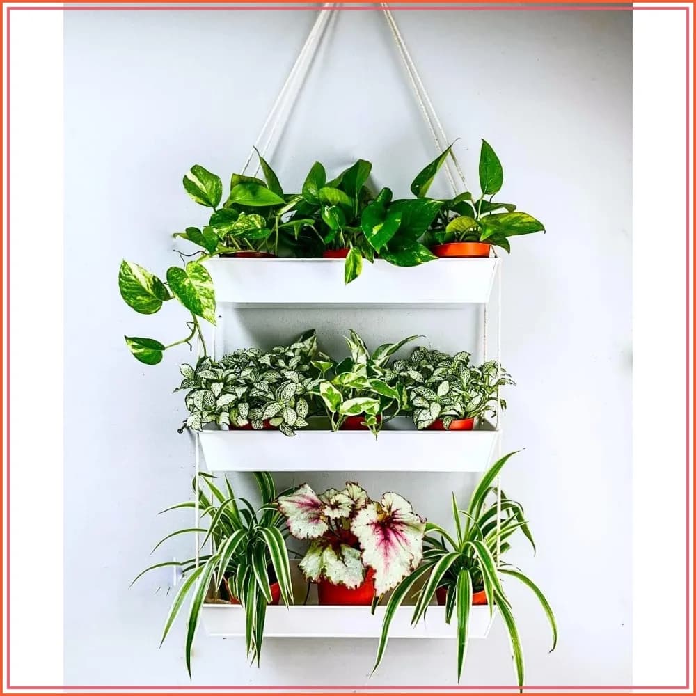 Fioriera da Parete a 3 Livelli - Scaffale per Piante in Metallo da 16 Pollici per Interni/Esterni, Design Boho Bianco, Contiene 12 Vasi
