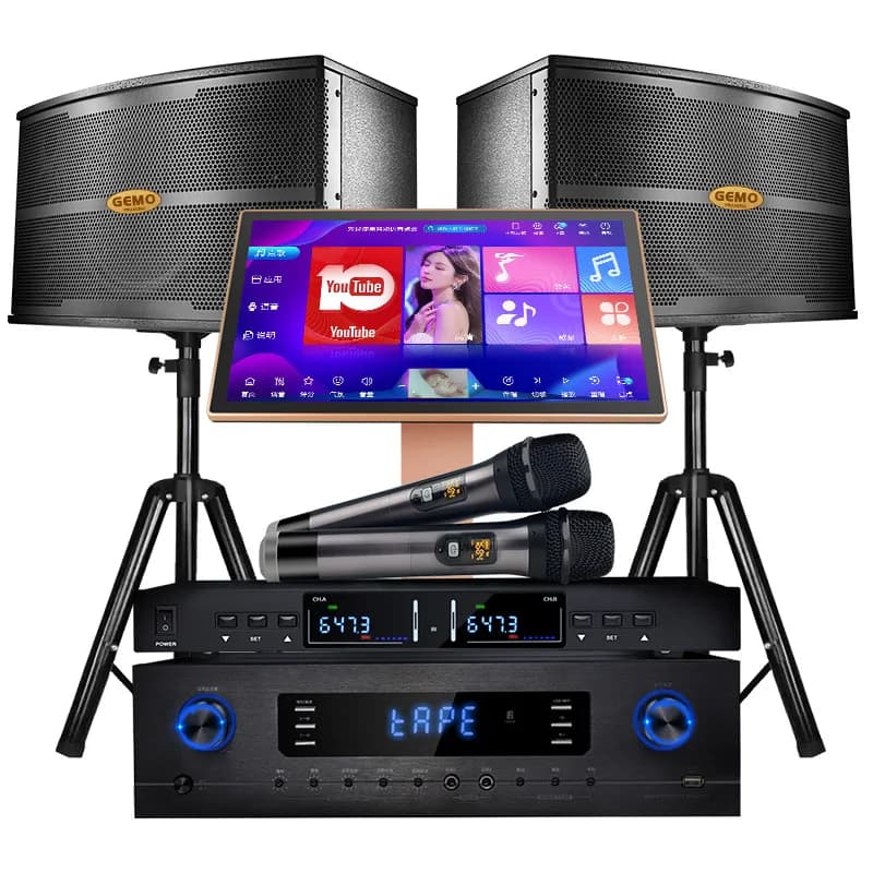 ZJZ Prezzo di fabbrica Lettore Karaoke 2TB Home KTV Macchina Karaoke Altoparlante da 10 pollici con microfono wireless