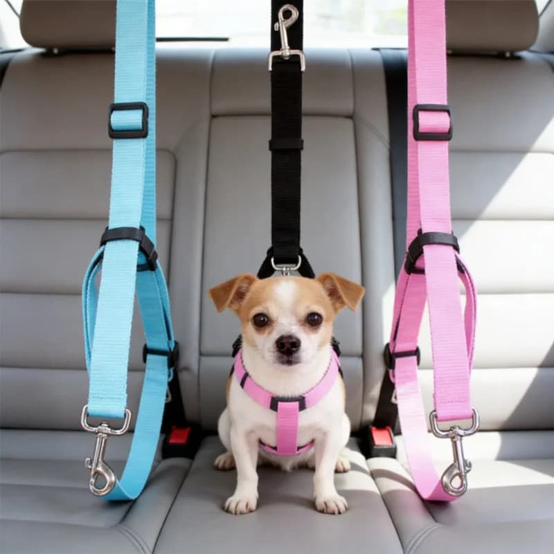 Imbracatura di Sicurezza per Cani da Auto, Collare Anti-Collisione, Guinzaglio Essenziale per Viaggi in Auto, per Cani Piccoli, Medi e Grandi