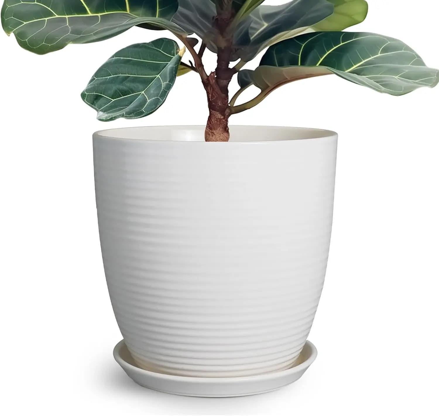 12-inch white ceramic vase with drainage hole and underwater for indoor and outdoor plants