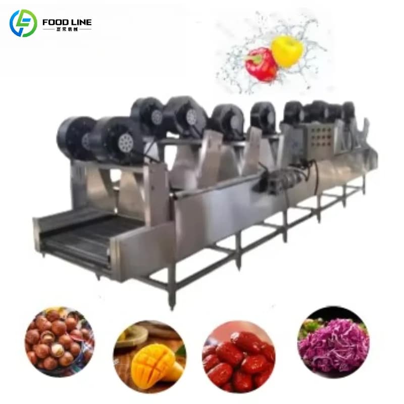 Custom Exporter for Drying Fruit and Vegetables with Air Blower, Commercial Stainless Steel Device for Food Processing
