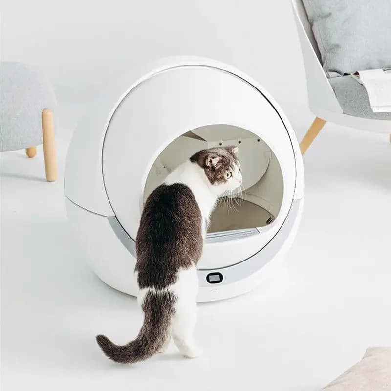 Toilette per gatti autopulente automatica intelligente all'ingrosso, lettiera per gatti, grande lettiera per gattini, toilette per animali domestici
