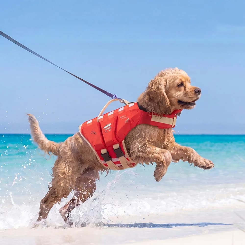 Waterproof Dog Life Jacket Breathable High Buoyancy Pet Life Vest Adjustable Thick Sponge Pad Dog Swimming Suit Spring Summer