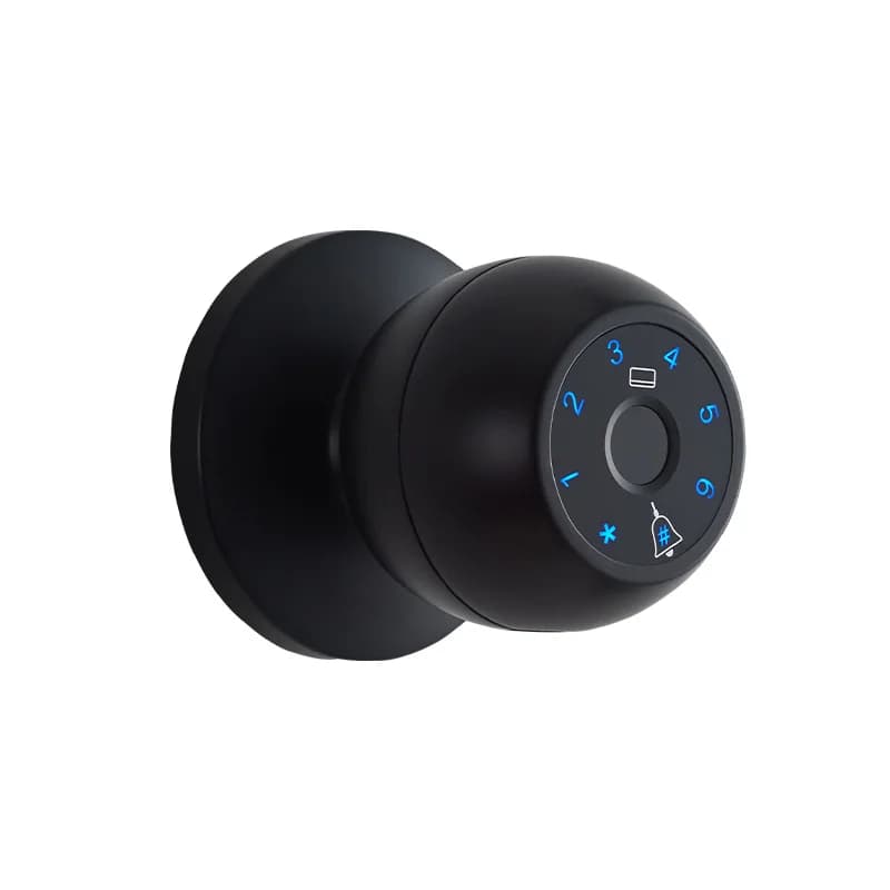 Smart Locks Password biometrica e impronta digitale Serratura elettronica sostitutiva a sfera Serratura per porta in alluminio o legno