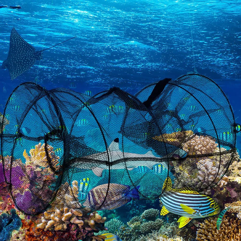 Folding Fishing Net Spring Cage Crab Trap Collapsible Shrimp Cast Net Outdoor Minnow Trap Portable Fishing Supply