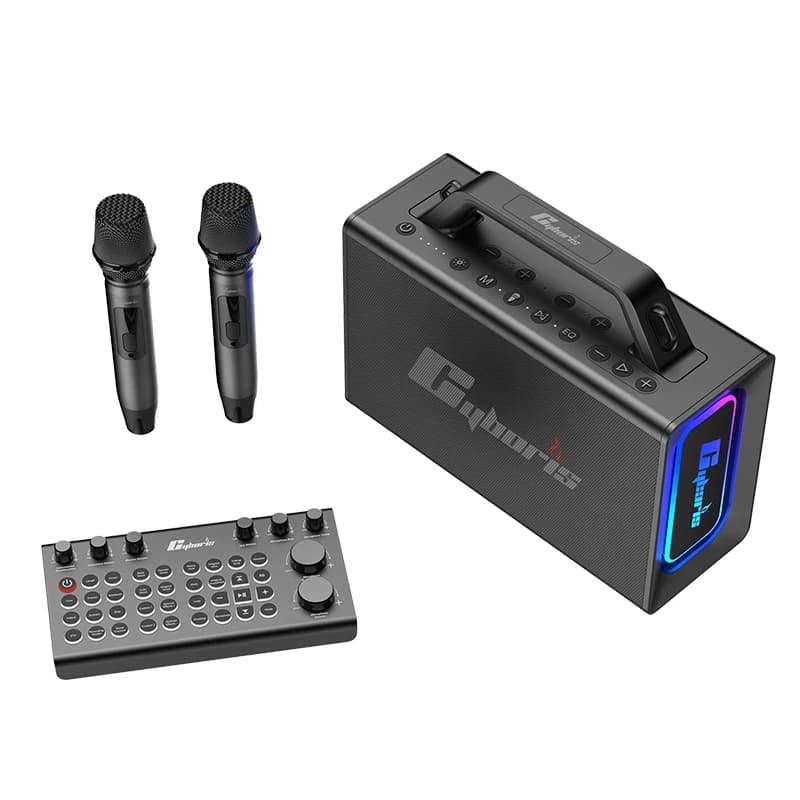 Altoparlante Wireless Portatile da 200W con Mixer, Scheda di Mixaggio, Sistema PA, 2 Microfoni UHF, Luci RGB