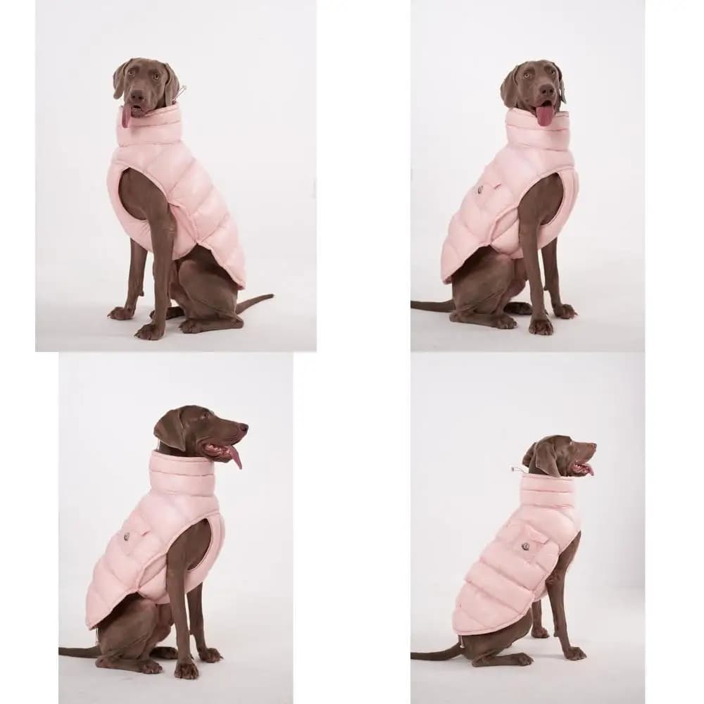 Cappotto Invernale per Cani, Leggero e Termico, Resistente all'Acqua, Regolabile con Accessorio per Guinzaglio, Adatto per Razze Piccole e Grandi (Pi
