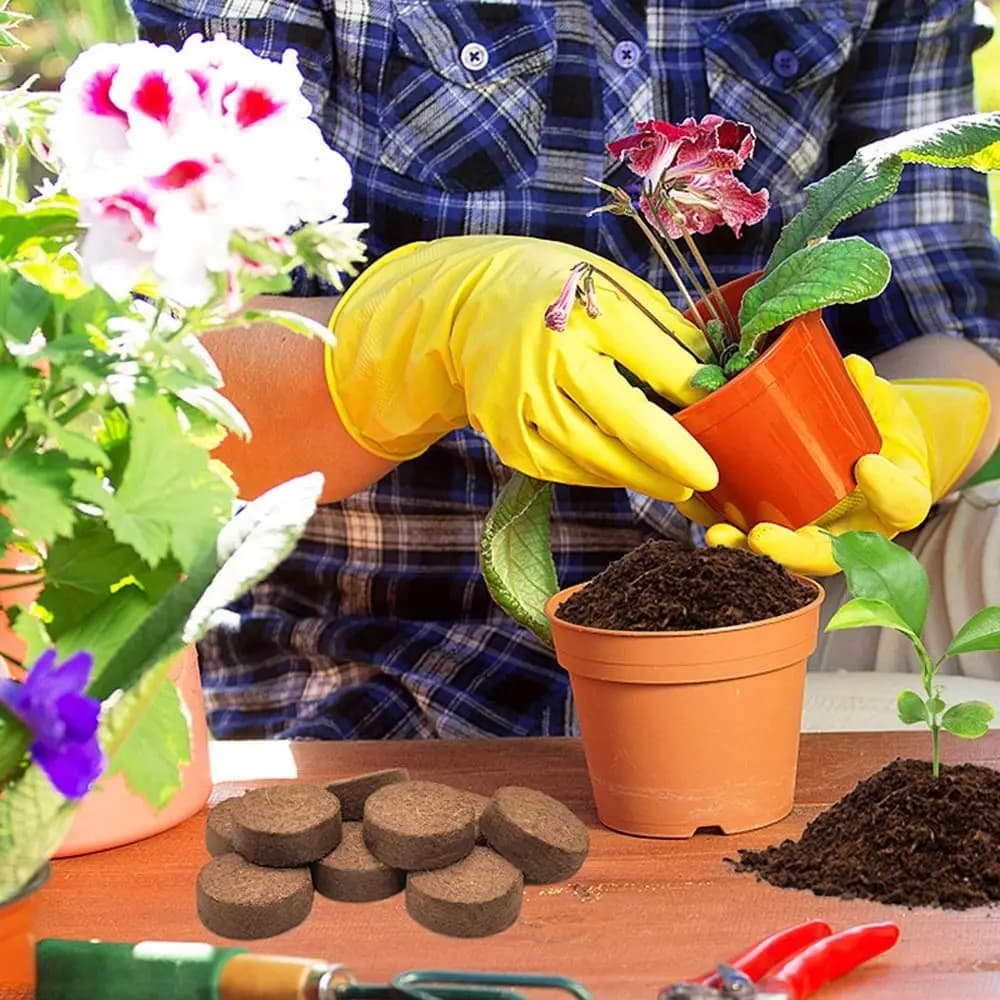 10pcs Coco Coir pellets organic invading soil to plant coconut soil coconut soil coconut seed starters for flowers